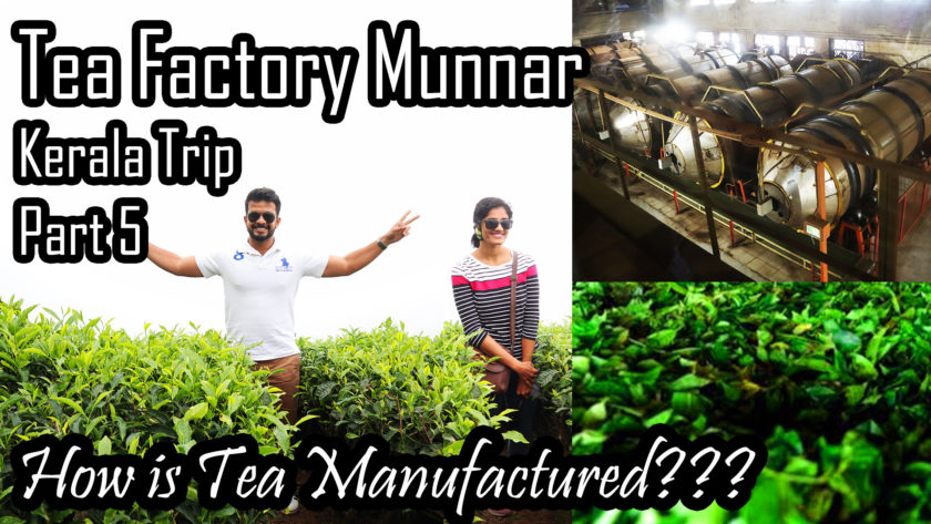 Munnar Tea Factory