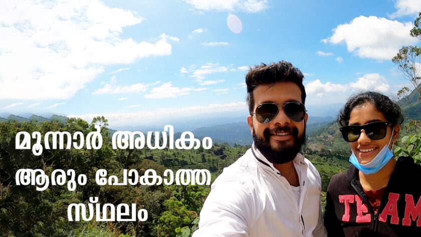 Pothamedu View Point and Eucalyptus Forest Munnar
