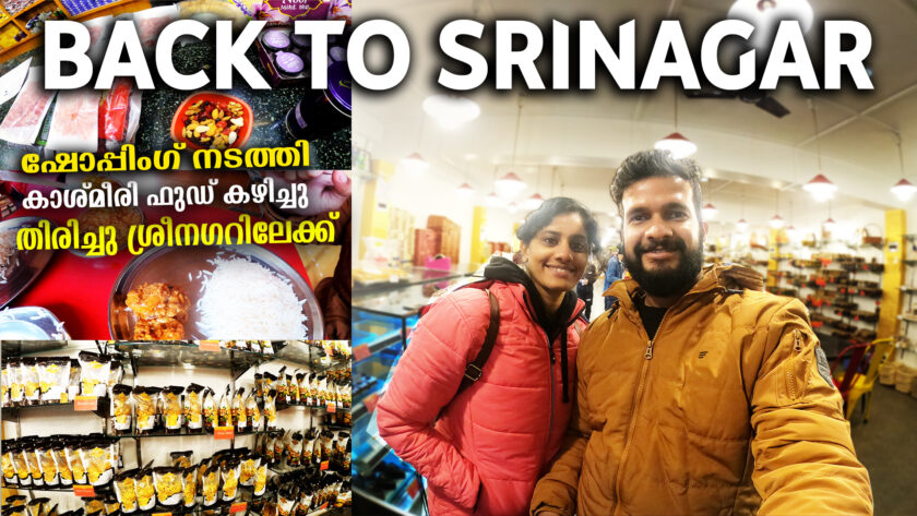 Drive to Srinagar | Kashmir Shopping 🛍️ Dal Lake Night View | Kerala to Kashmir Ep #11